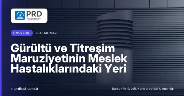 Gürültü ve Titreşim Maruziyetinin Meslek Hastalıklarındaki Yeri