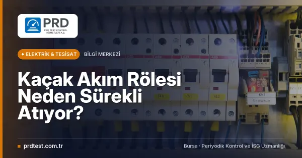 Kaçak Akım Rölesi Neden Sürekli Atıyor?